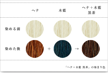 「ヘナ＋木藍 黒茶」の染まり色
